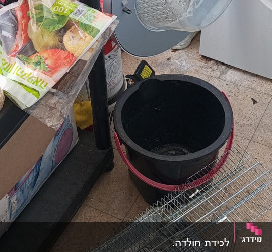 מלכודת מתכת על רצפה ליד דלי שחור